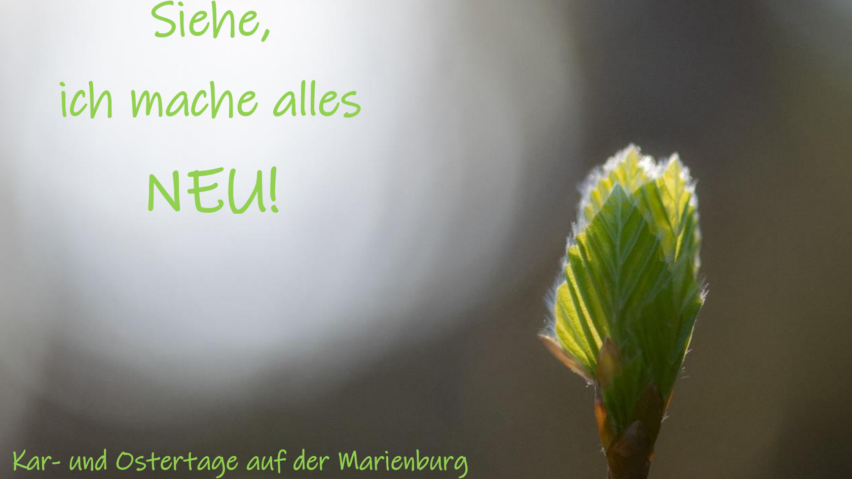 Kar-und Ostertage Marienburg