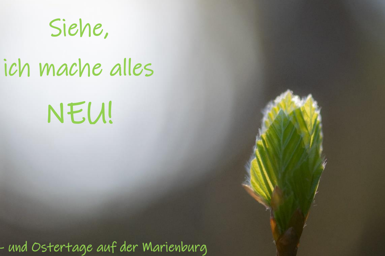 Kar-und Ostertage Marienburg